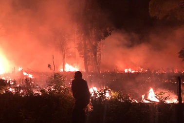 Đang truy tìm thủ phạm đốt rừng quốc gia Phú Quốc