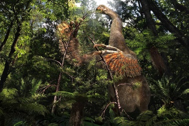 Phát hiện loài khủng long kỳ lạ với móng vuốt sắc nhọn