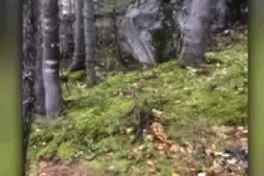 Những video gây “bão” cộng đồng mạng thế giới năm 2018 (phần 2)