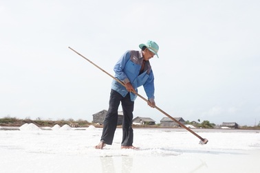 Bến Tre: Mất mùa, mồ hôi của diêm dân "mặn" hơn muối