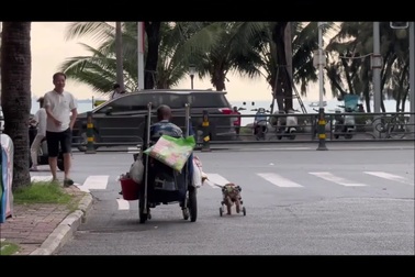 Khoảnh khắc đáng yêu, cảm động giữa chủ và chó trên đường phố Trung Quốc