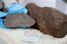 Phát hiện tảng đá cũ kỹ giữ trong 6 năm qua thực chất là "báu vật"