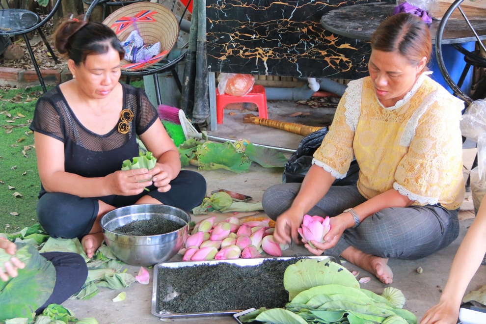 Ướp trà vào sen Nhật thu tiền triệu - 8 Ướp trà vào sen Nhật thu tiền triệu - 8