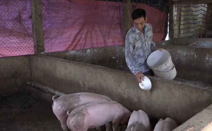 Phú Thọ: Không ai bảo ai, 12 hộ cùng viết đơn xin thoát nghèo - Ảnh 4. Phú Thọ: Không ai bảo ai, 12 hộ cùng viết đơn xin thoát nghèo - Ảnh 4.