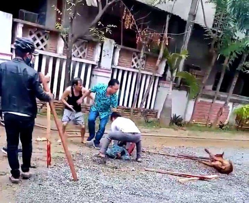 Chó nhà cắn chết người, chủ nuôi có thể bị tù đến 10 năm! - 1 Chó nhà cắn chết người, chủ nuôi có thể bị tù đến 10 năm! - 1