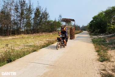 Vụ đường 3,8 tỷ đồng bị “rút ruột” 1 tỷ: Khởi tố 2 giám đốc doanh nghiệp