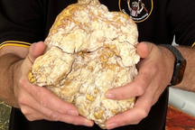 Người đàn ông Australia tìm được hòn đá chứa 2,6kg vàng