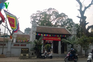 Cây di sản ở đền Voi Phục: Sau vinh danh từ 9 chỉ còn 4 