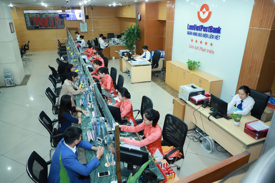 Chàng trai bỏ thành phố, quyết tâm làm giàu nơi vùng cao biên giới - 2 Chàng trai bỏ thành phố, quyết tâm làm giàu nơi vùng cao biên giới - 2