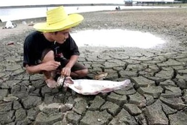 Hiện tượng El Nino có thể sắp xuất hiện 