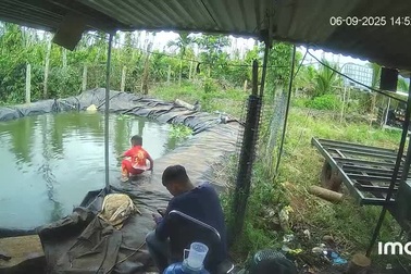 Em bé bị ngã xuống hồ nước may mắn được người lớn cứu kịp