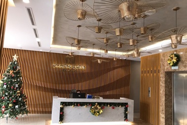 Cất nóc tháp C - Diamond Lotus Riverside - bức tường xanh khổng lồ giữa lòng Sài Gòn