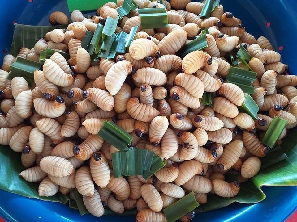 Loạt đặc sản con nhung nhúc, béo tròn, khách vừa ăn vừa sợ - 14