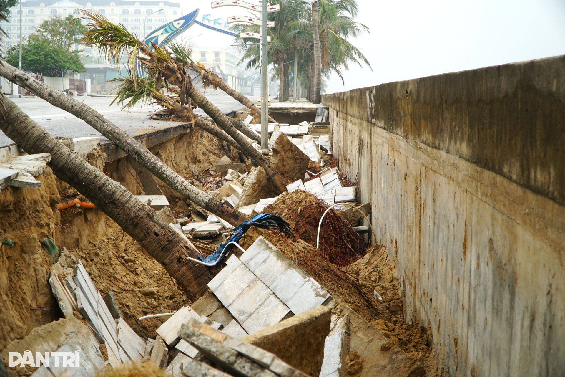 Bàn tay trên biển ngả nghiêng, bờ kè khu du lịch bị xé toang - 12 Bàn tay trên biển ngả nghiêng, bờ kè khu du lịch bị xé toang - 12