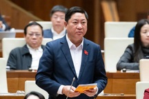 Cho 2 đại biểu Quốc hội thôi nhiệm vụ