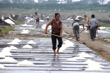 Vắt giọt mồ hôi đổi lấy hạt muối