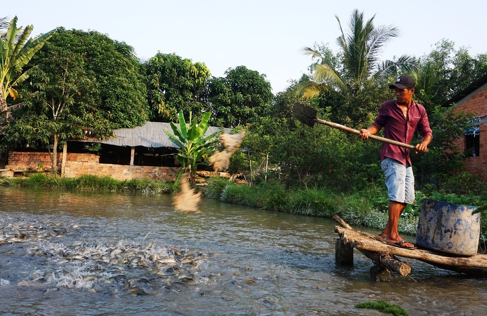Người dân cù lao và cuộc sống chìm, nổi theo con nước - 1 Người dân cù lao và cuộc sống chìm, nổi theo con nước - 1