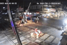 Liên tiếp các vụ ô tô đâm gãy barie, ngành đường sắt cảnh báo khẩn