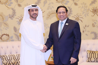 Tập đoàn lớn của UAE muốn Việt Nam hợp tác về cảng biển, đô thị thông minh