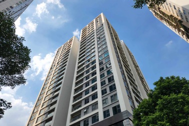 Bán đấu giá tài sản của chủ đầu tư để thu kinh phí bảo trì nhà chung cư