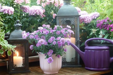 Nỗi đau thầm kín của đại gia trẻ sau 3 cuộc hôn nhân