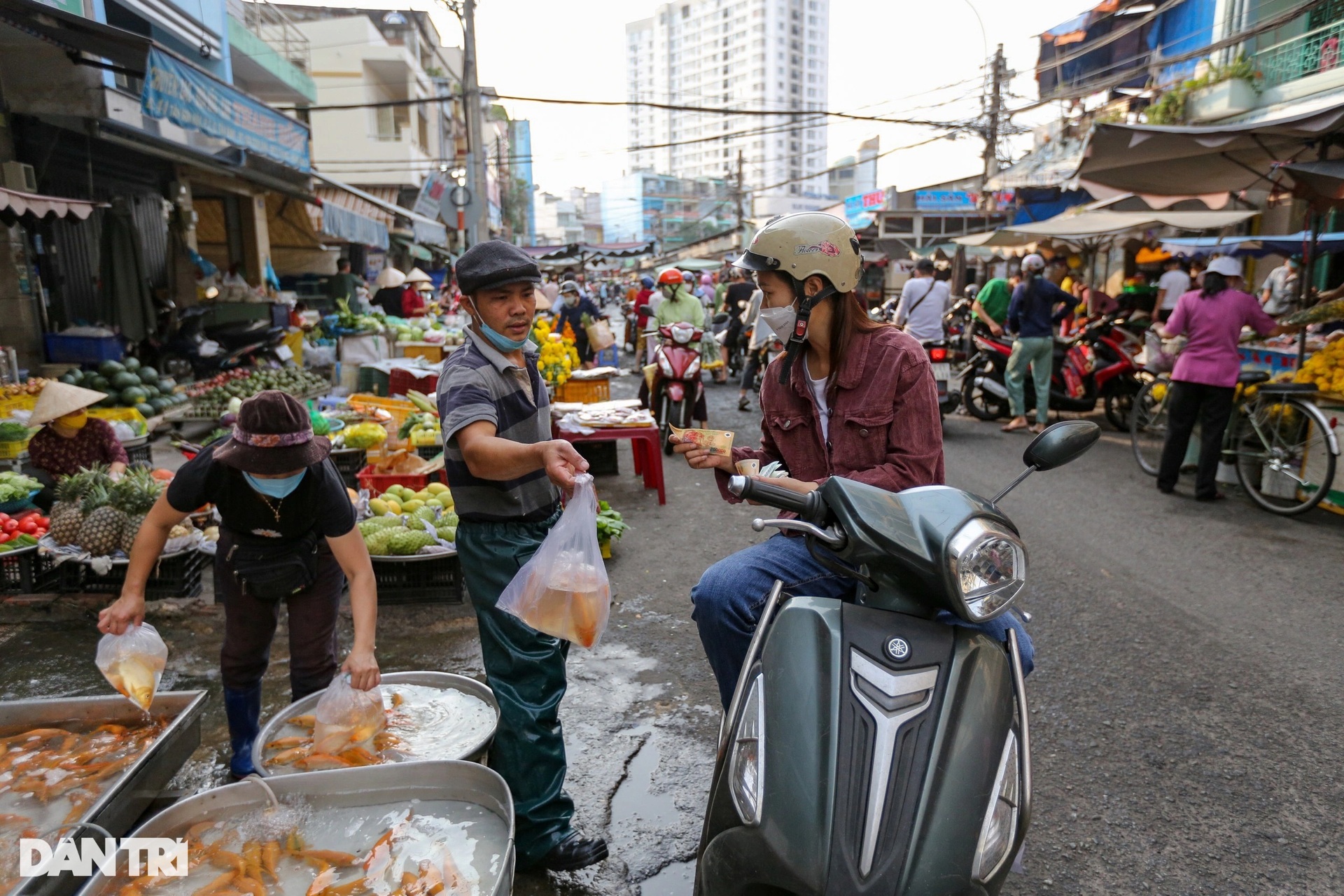 Người dân thuê thuyền ra giữa sông Sài Gòn thả cá tiễn ông Táo - 1