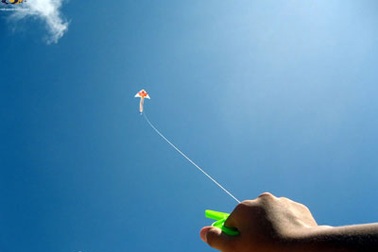 Đơn xin từ chức của... dạ dày!