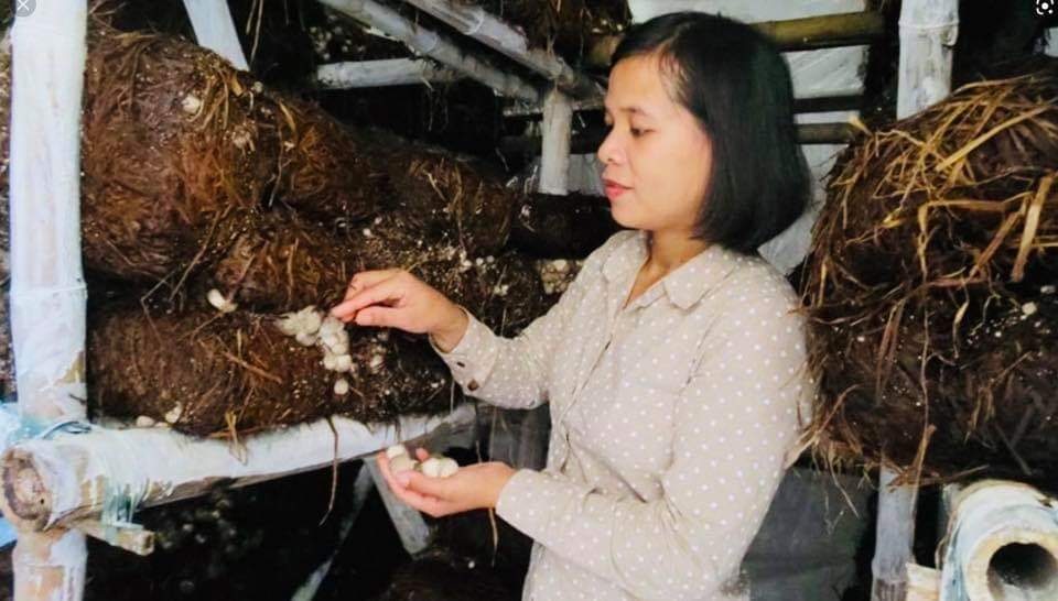 Định hướng nghề cho thanh niên dân tộc thiểu số tại Thừa Thiên Huế - 2 Định hướng nghề cho thanh niên dân tộc thiểu số tại Thừa Thiên Huế - 2