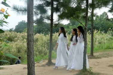 Bãi đá sông Hồng - điểm chụp ảnh hấp dẫn cho những ngày đầu đông