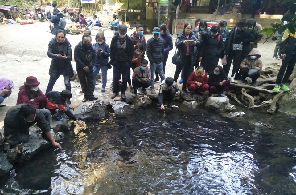 Hàng nghìn du khách chen chân đổ về suối cá thần cầu may dịp đầu năm mới - 3