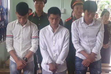 Chặt phá cờ, 3 thanh niên bị kết tội "xúc phạm quốc kỳ"