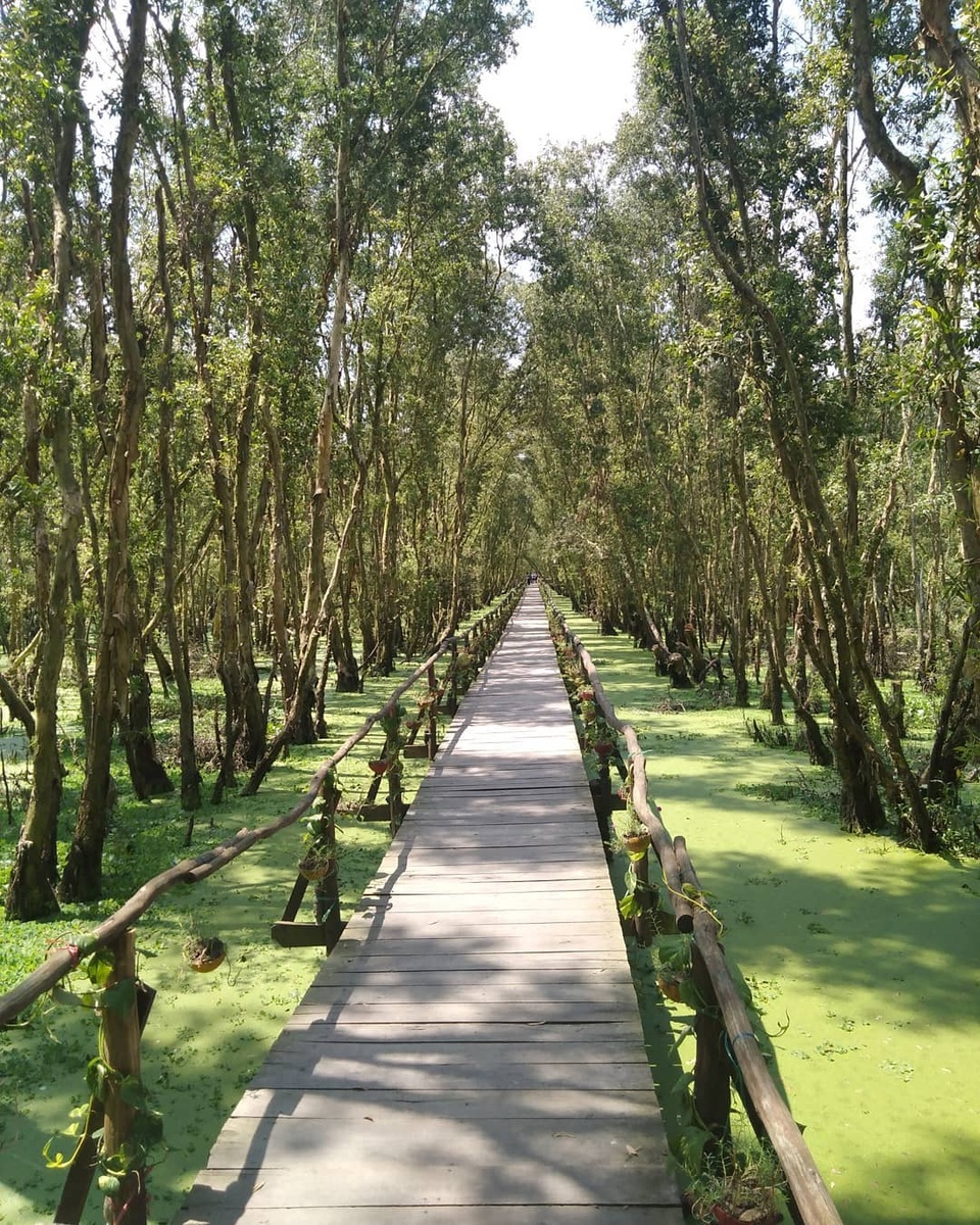 Dân phượt “phát sốt” với điểm check-in đẹp như trời Tây giữa rừng Trà Sư - 8 Dân phượt “phát sốt” với điểm check-in đẹp như trời Tây giữa rừng Trà Sư - 8