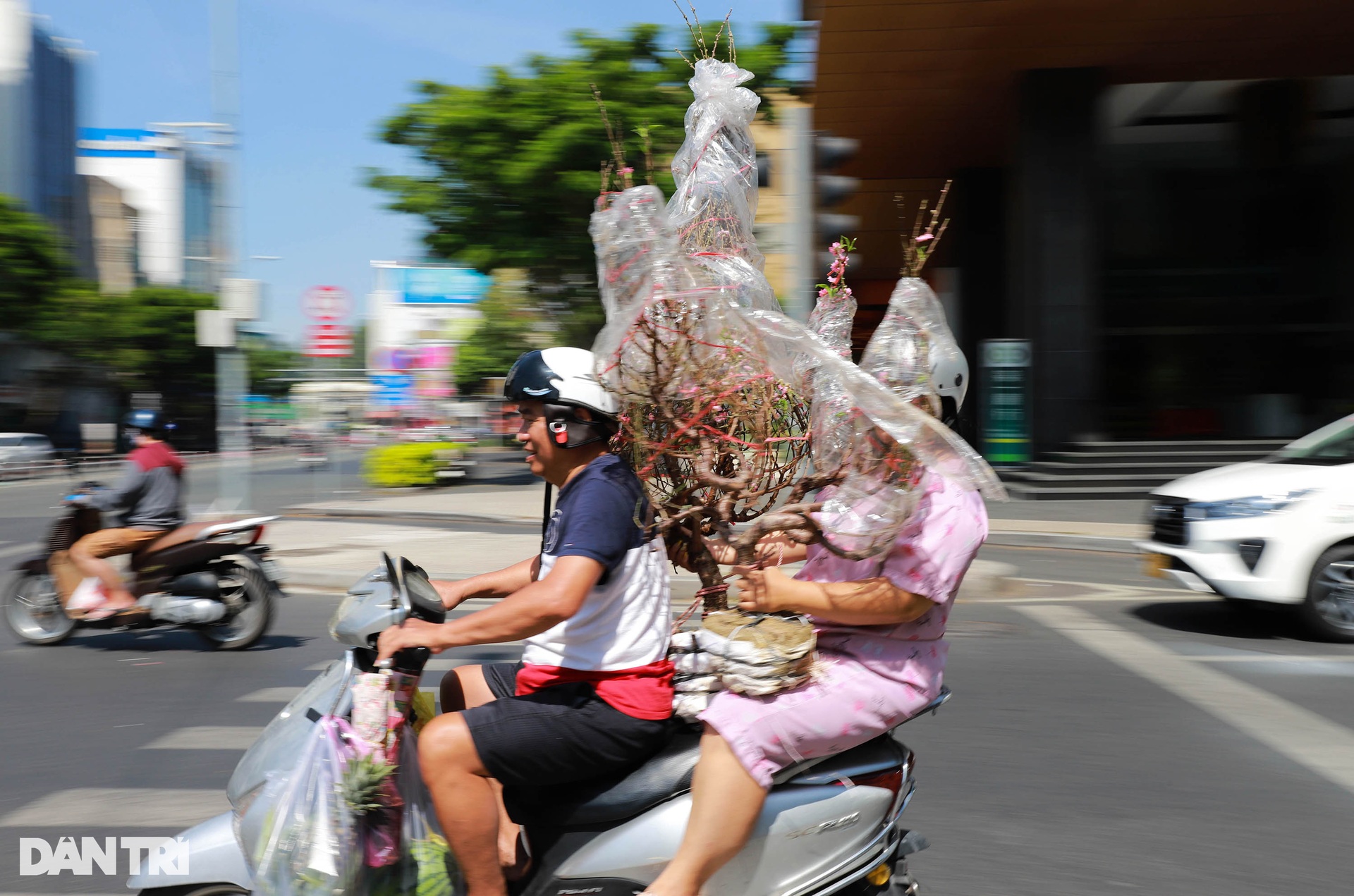 Tiểu thương đập bỏ cây kiểng chiều 30 Tết vì bị ép giá - 15 Tiểu thương đập bỏ cây kiểng chiều 30 Tết vì bị ép giá - 15