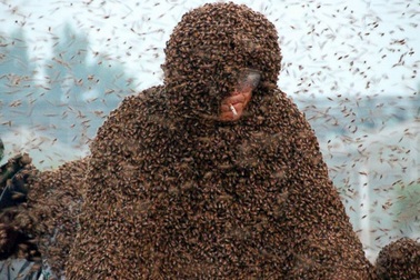 Phá kỷ lục thế giới khi để hơn 1 triệu con ong chích khắp người