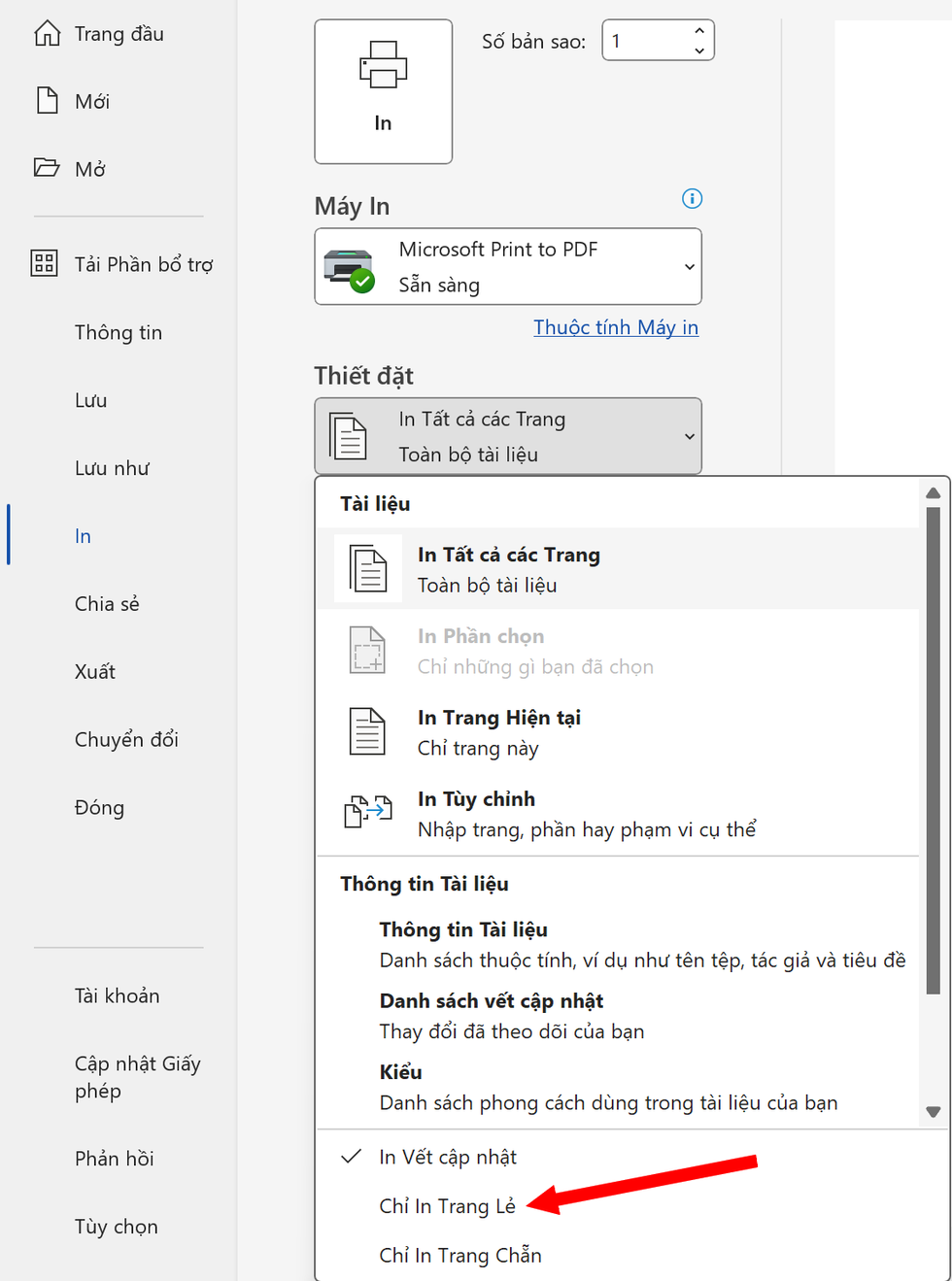Hướng dẫn in văn bản trên 2 mặt giấy một cách nhanh chóng - 2