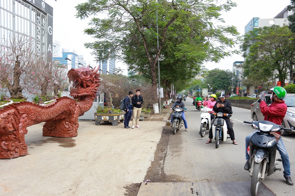 Chậu đào “khổng lồ” hình rồng ôm núi giá 1 tỷ đồng ở Hà Nội có gì đặc biệt? - 3 Chậu đào “khổng lồ” hình rồng ôm núi giá 1 tỷ đồng ở Hà Nội có gì đặc biệt? - 3