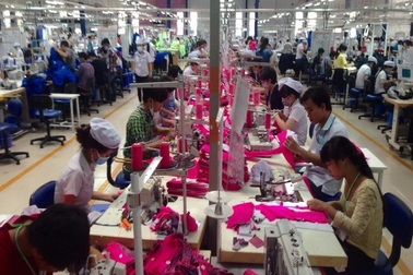 Doanh nghiệp chẻ lương công nhân để trốn đóng BHXH