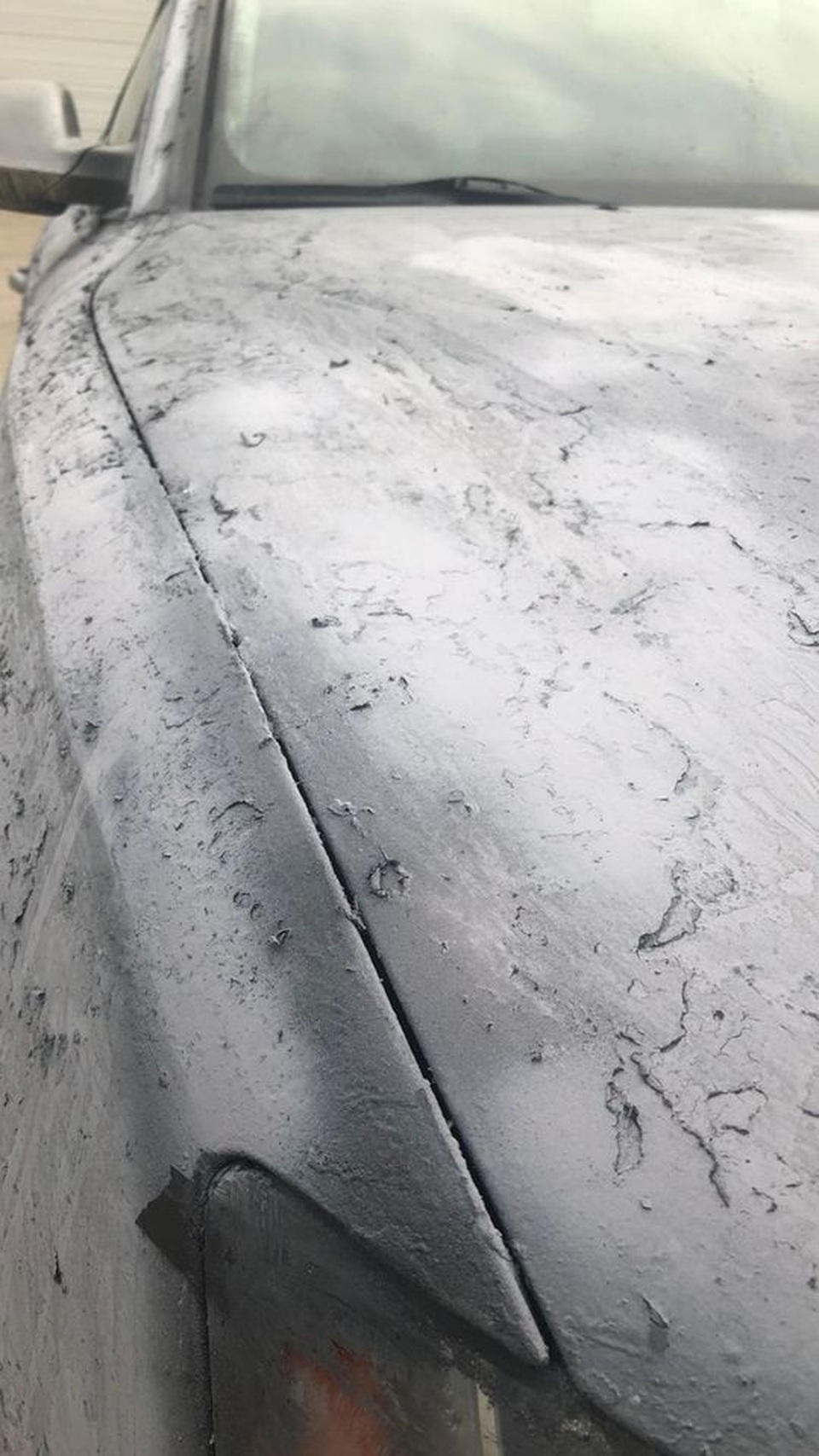 Màn hồi sinh nuột nà khó tin của một chiếc Audi A5 bỏ đi - 3 Màn hồi sinh nuột nà khó tin của một chiếc Audi A5 bỏ đi - 3