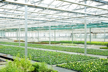 BOS chính thức là đối tác của VsetGroup về hoạt động chứng khoán