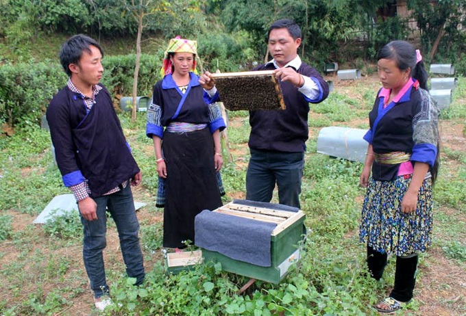 Bài học trong nâng cao chất lượng đào tạo nghề cho lao động nông thôn Yên Bái - Ảnh 1.