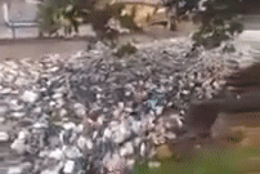 “Dòng sông rác” khổng lồ xuất hiện sau mưa lớn