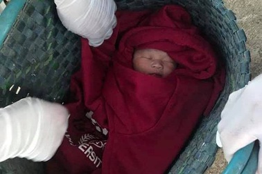 Bé sơ sinh bị bỏ rơi bên đường, mặt sưng tấy vì kiến cắn