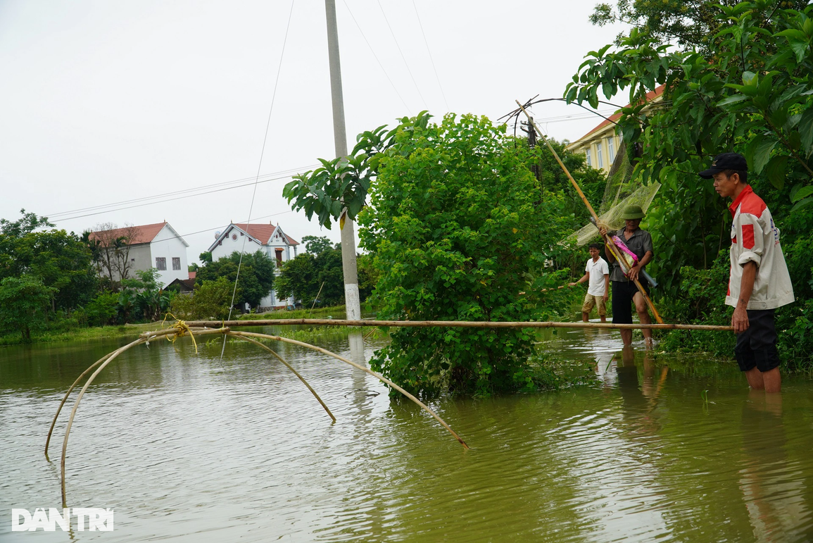 Chợ, ao cá chìm trong nước lũ sau mưa lớn đầu mùa - 8 Chợ, ao cá chìm trong nước lũ sau mưa lớn đầu mùa - 8