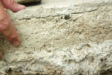 Đường nông thôn làm từ… vỏ trấu