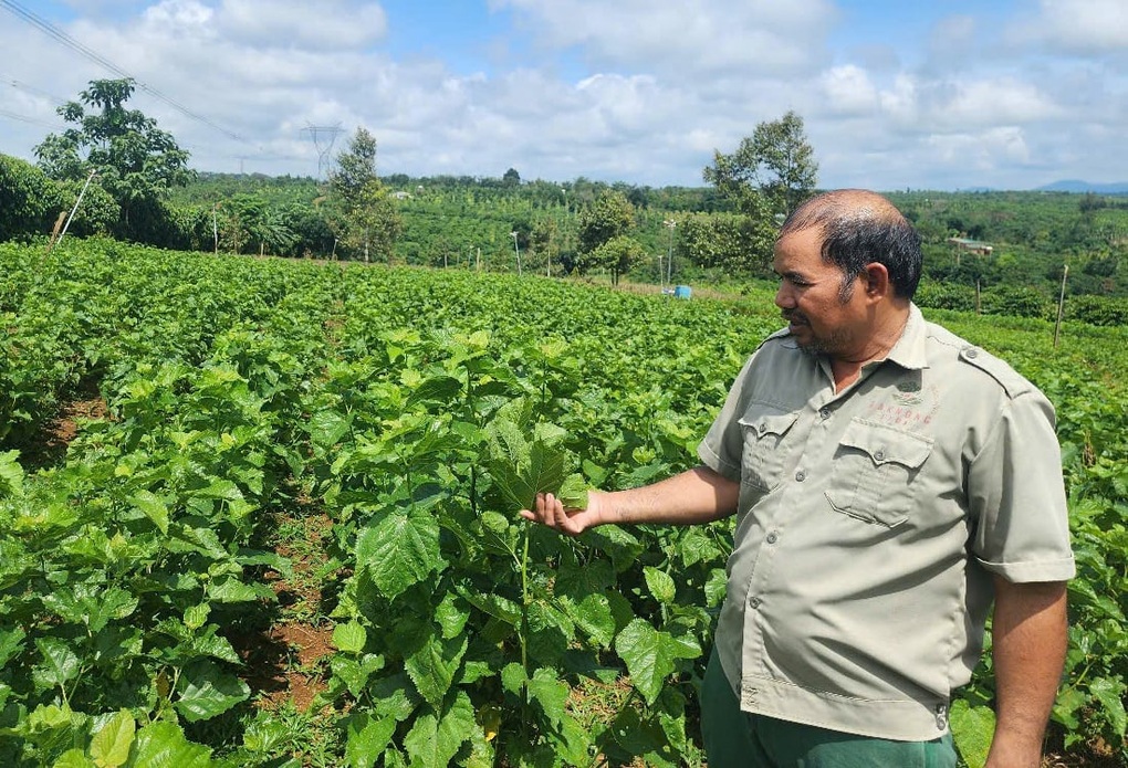 Quảng Sơn (Lâm Đồng): Nhiều mô hình sinh kế giúp người dân thoát nghèo - 1 Quảng Sơn (Lâm Đồng): Nhiều mô hình sinh kế giúp người dân thoát nghèo - 1