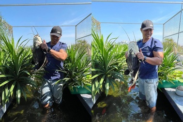 Những ông bố Việt đảm đang: Làm vườn trĩu cành, cá tung tăng trong sân