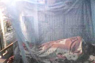 Sinh viên và “cuộc chiến” chống lũ