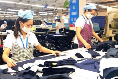 Bao nhiêu tuổi thì được nghỉ hưu theo diện tinh giản biên chế?