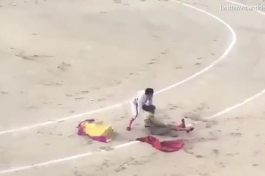 Rùng rợn khoảnh khắc võ sĩ đấu bò bị thương nặng vì bò húc