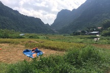 Làm rõ việc cấp phép khai thác vàng trùm lên cả đồng lúa của dân